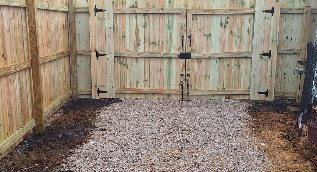 A pair of six foot swinging cedar gates, each leaf hung on three black strap hinges, with a drop rod and latch where the two leaves meet.