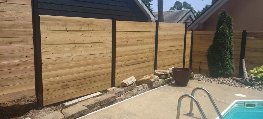 A horizontal cedar plank fence on black steel posts with an arborvitae planted against it.