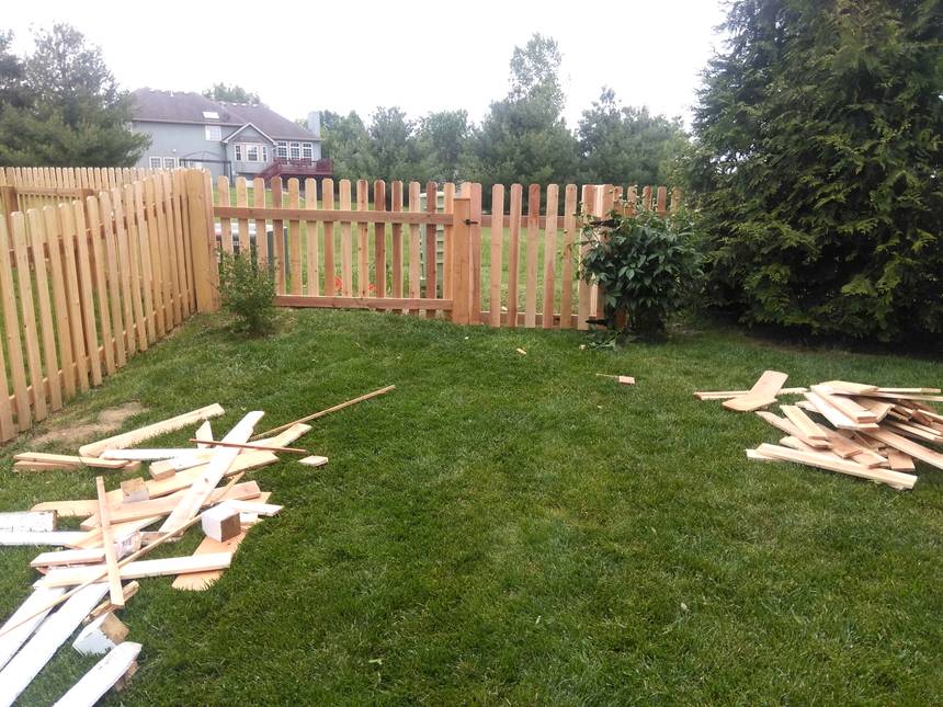 A new cedar picket fence in place along a back yard with the old white fence pulled down and stacked on the grass ready to be hauled off.